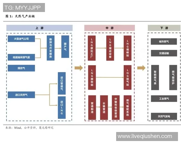 数据分析视角下LNG战术表现的深度解读与启示